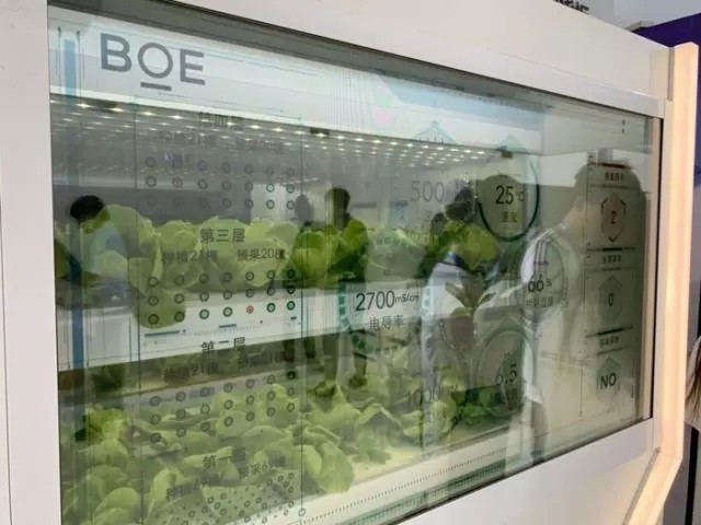 京东方携手百度推AI植物工厂